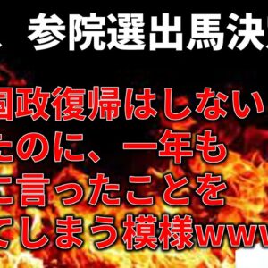 【政治まとめ】蓮舫、国政に復帰するってよ＆ガソリン税暫定税率の廃止、自民の対応が最悪すぎる件