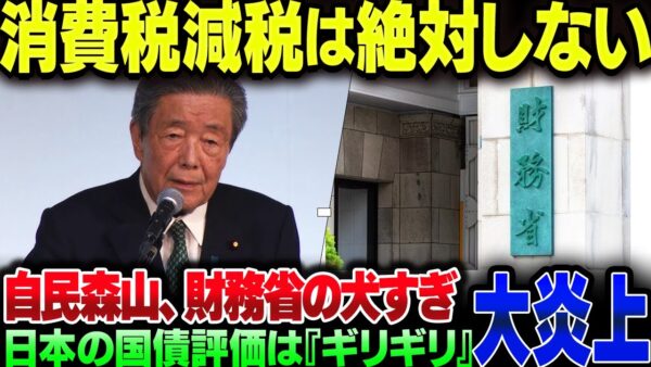 自民党森山幹事長『消費税は絶対に下げない』『日本の国債評価はギリギリ』→大炎上【ゆっくり解説】