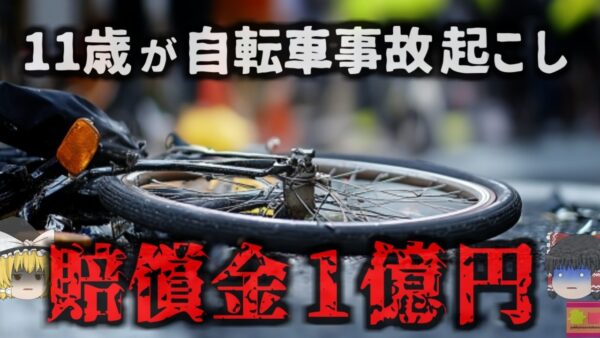 『男児が起こした自転車事故で賠償1億円』親に責任 ローン残る住宅売却し人生が…月額数百円の保険に入っていれば…【ゆっくり解説】