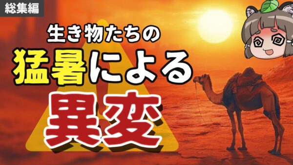 【総集編】暑すぎて生き物たちに