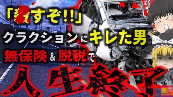 『非接触事故でも被害認定』煽り運転で焦った車 信号無視で事故起こすも無罪 煽った側には約4600万円の損害賠償請求…画期的な判決とは【ゆっくり解説】