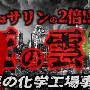 『農薬の原料が大量放出』化学工場で爆発事故が起き地域を汚染 約80000頭の家畜が〇亡 440人に重篤な健康被害『セベソ災害』【ゆっくり解説】