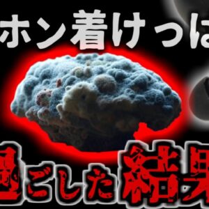 『寝ながらイヤホンで耳にカビ』我慢できない痒みと痛み　ついやりがちな「イヤホン着けっぱなし」による外耳道真菌症が増加中 【ゆっくり解説】きめぇ丸解説