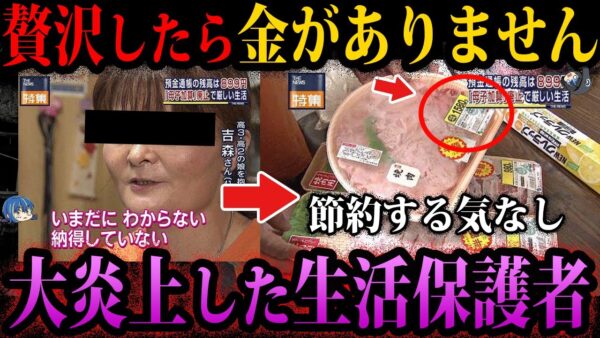 【ゆっくり解説】贅沢したいから金をくれ。ヤバすぎて炎上した生活保護者