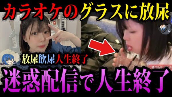 【ゆっくり解説】迷惑配信で人生終了。頭がおかしい配信者４選