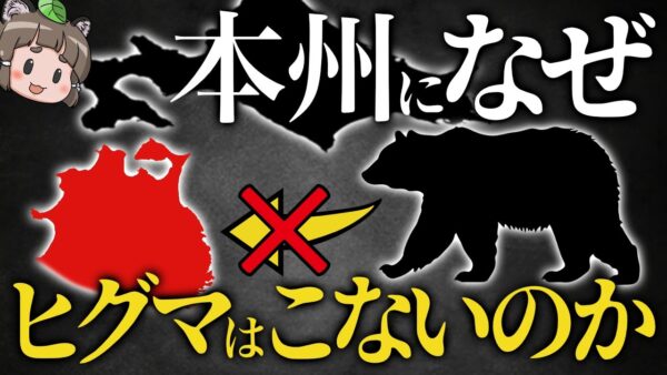 【疑問】北海道のヒグマは本州に泳いで来ないのか？