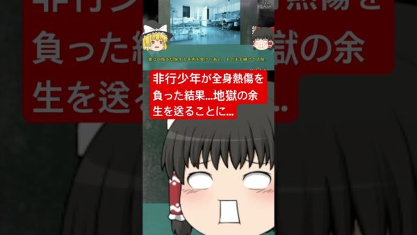 ガス遊びをしていた非行少年の末路…両手両足を切断し地獄の日々を送る…『車内ガス爆発事故』　#ゆっくり解説　#爆発事故　#熱傷