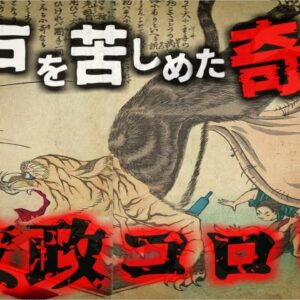 江戸を恐怖のどん底に陥れた奇病『安政狐狼狸』（箇労痢）日本の感染症と水の安全の歴史【ゆっくり解説】きめぇ丸解説