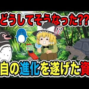 【ゆっくり解説】どうしてそうなった？？独自の進化を遂げた資格【資格】