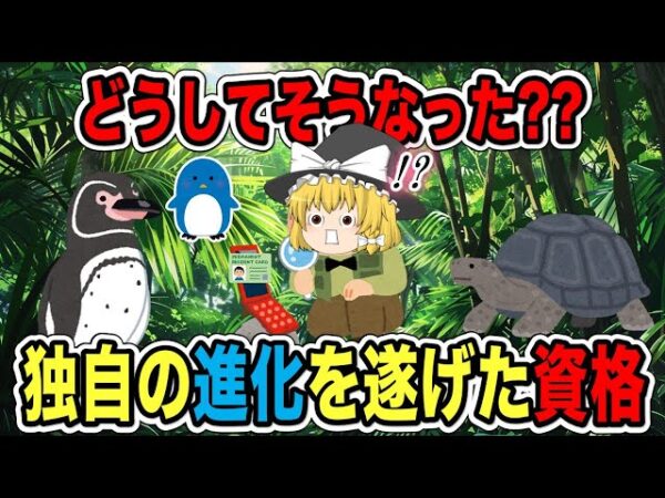 【ゆっくり解説】どうしてそうなった？？独自の進化を遂げた資格【資格】