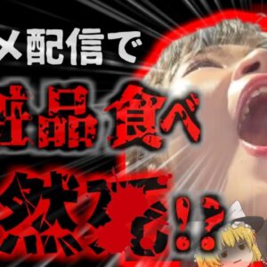 『人気欲しさに化粧品食べ＊亡』ネット配信中に化粧品を食べまくった自称インフルエンサーの女性が突然〇亡 視聴者の心配も空しく…【ゆっくり解説】