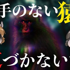 【怪異】左手のないサルに