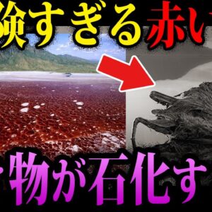 【ゆっくり解説】近づくだけでも命の危機。世界に存在する危険地帯