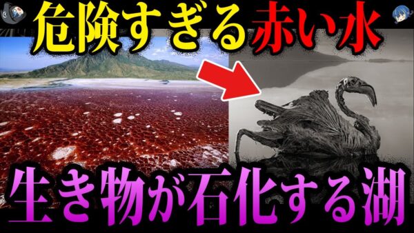 【ゆっくり解説】近づくだけでも命の危機。世界に存在する危険地帯