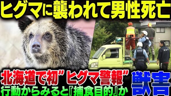北海道でヒグマの獣害事件。新聞配達中の被害者は死亡、ヒグマ警報が初めて発令される【ゆっくり解説】