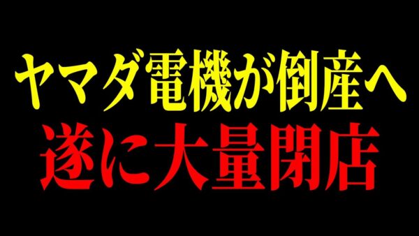 家電量販店はもうオワコン？業界トップのヤマダ電機の現状が悲惨すぎる件について…【ゆっくり解説】