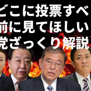 【ゆっくり解説】ほぼ全政党のざっくりとした政策・スタンスをまとめてみた