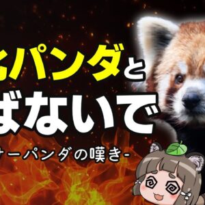 【不遇】レッサーパンダのこと、劣化パンダって呼ばないで下さい…