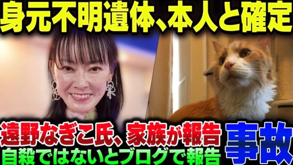 遠野なぎこさん宅の身元不明遺体、御本人のものであることが遺族から明かされる【ゆっくり解説】