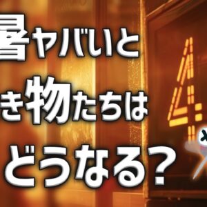 【異常事態】暑すぎると生き物たちは一体どうなるのか？
