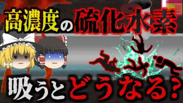『許容値の15倍の猛毒ガス』下水道点検中に倒れた作業員 救出に向かった人も次々と毒ガスで〇亡…「行田市硫化水素事故」【ゆっくり解説】