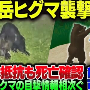 北海道羅臼岳で初の獣害事件、ヒグマが20代男性を殺害。クマの目撃件数が日本中で爆増。だいぶ不味いぞ