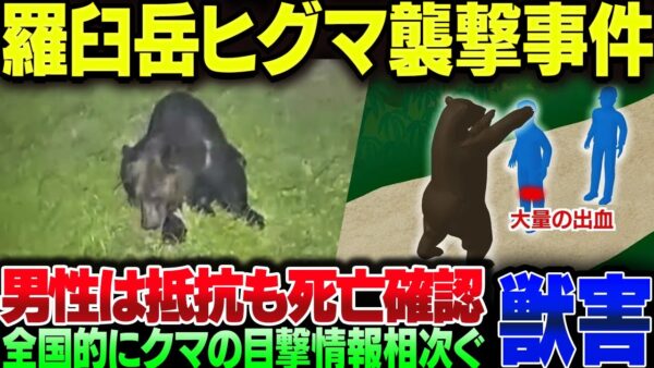北海道羅臼岳で初の獣害事件、ヒグマが20代男性を殺害。クマの目撃件数が日本中で爆増。だいぶ不味いぞ