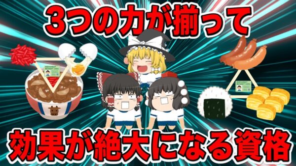 【ゆっくり解説】3つの力が揃って効果が絶大となる資格【資格】