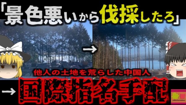 『景色が悪いから切った』中国人ホテル経営者 無断で他人の木を伐採し香港へ逃亡 助成金約3800万円不正受給など複数の罪で国際指名手配され逮捕　大炎上「河口湖ホテル檜伐採事件」【ゆっくり解説】