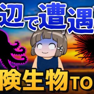【絶対NG】コレ知らずに海に行くと…海辺の危険生物ワースト10選
