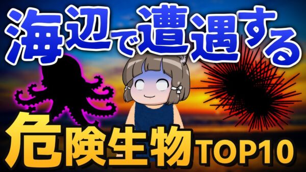 【絶対NG】コレ知らずに海に行くと…海辺の危険生物ワースト10選