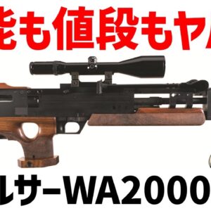 【ゆっくり解説】ワルサーWA2000、価格1000万円オーバー・性能は高いが値段も高いブルパップ狙撃銃