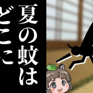 【あの生き物は今】なぜ蚊は日本の夏から姿を消したのか？