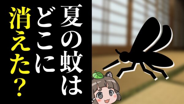 【あの生き物は今】なぜ蚊は日本の夏から姿を消したのか？
