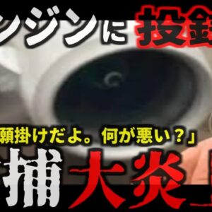 『え？願掛けの為だけど…』飛行機エンジンにコインが投げ込まれフライトがキャンセルに…中国で何故か繰り返される奇妙な行為　投げ込んだ男は大炎上し人生終了【ゆっくり解説】