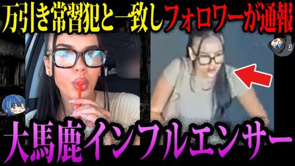 【ゆっくり解説】アタオカすぎてヤバい。バズ狙いで逮捕されたインフルエンサー３選