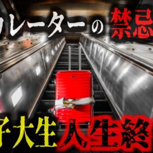 『エスカレーターでの禁忌』手を離したスーツケースが転倒し、客に激突  重傷を負わせ高額賠償責任を負い人生終了【ゆっくり解説】