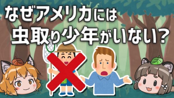 【疑問】アメリカにはなぜ虫取り少年が存在しないのか？