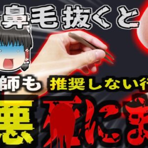 『実は危険な鼻毛抜き』身嗜みの為鼻毛を抜いた女性が命の危機に…最悪の場合脳炎になるリスクも【ゆっくり解説