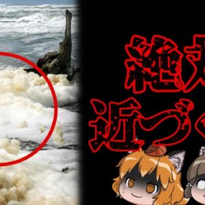 【危険】ビーチを覆う