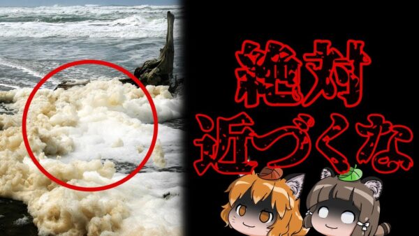 【危険】ビーチを覆う