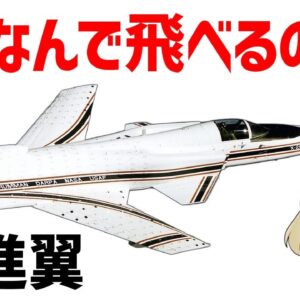 【ゆっくり解説】なぜ飛べるのか？前進翼と可変翼について、翼の進化の歴史