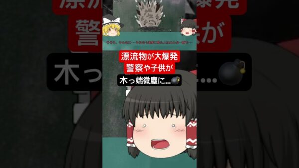 『最悪の遺物』海岸に流れ着いた謎の物体 子供たちが見守る中、警察が調べていると大爆発 数十名が一瞬で粉々に…　#ゆっくりするところ　#不発弾　#名立機雷漂着
