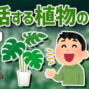 【マジ？】植物同士が実は「会話」してるって知ってましたか？