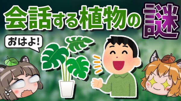 【マジ？】植物同士が実は「会話」してるって知ってましたか？
