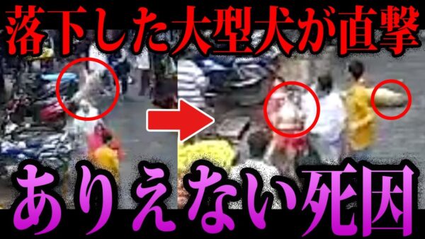 【ゆっくり解説】歩いていただけで命落とす…本当にあったありえない死因４選