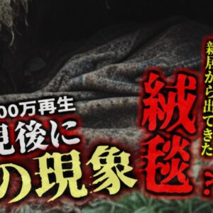 『庭に埋められていた異物の呪い？』自宅の庭から謎の遺物を掘り起こしてから、奇妙な出来事が続く女性…探知犬が反応したのに『何もない？』【ゆっくり解説】きめぇ丸