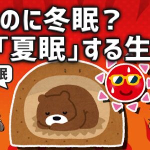 【夏眠】夏なのに冬眠？生物の常識を覆す生存戦略を知ってますか？