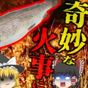 『世にも奇妙な火災』郊外の草地で不審火が発生 人気も火の気もない場所で何故？犯人はある生き物!?【ゆっくり解説】