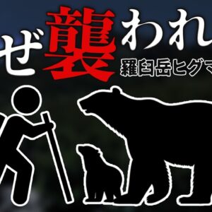 【北海道】羅臼岳ヒグマ襲撃事件が起きた本当の理由とは…